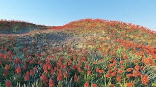 a field of red flowers with a blue sky in the background