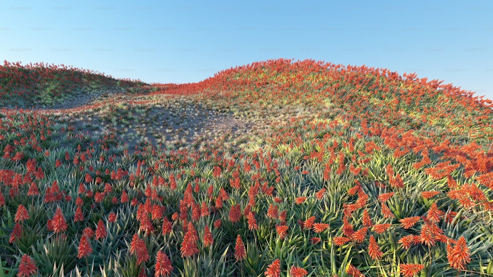a field of red flowers with a blue sky in the background