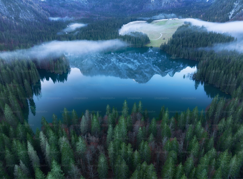 an aerial view of a lake surrounded by trees