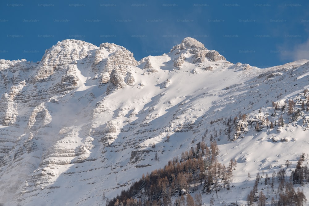 a mountain covered in snow and trees under a blue sky