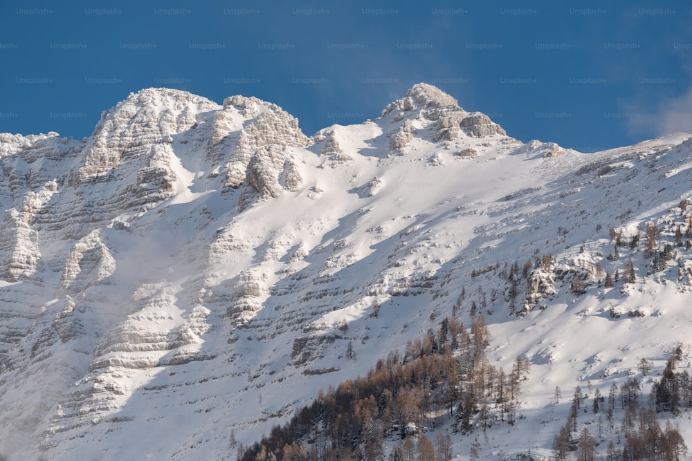 uma montanha coberta de neve e árvores sob um céu azul