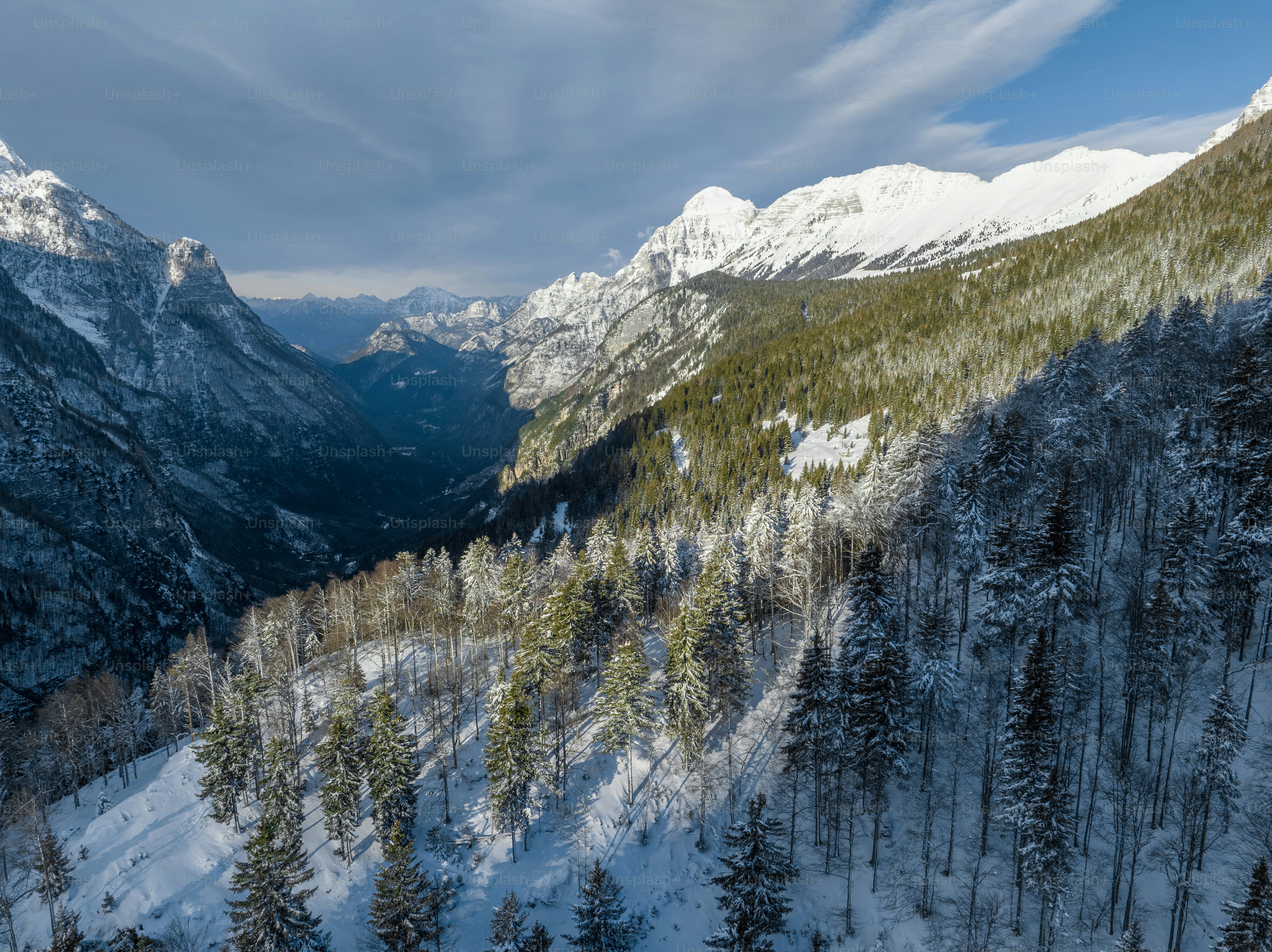 A view of a snowy mountain range with trees in the foreground photo ...