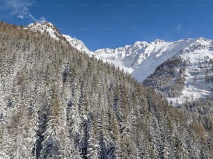 una montagna coperta di neve e alberi sotto un cielo azzurro