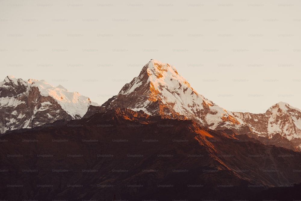 a snow covered mountain with a bird flying over it