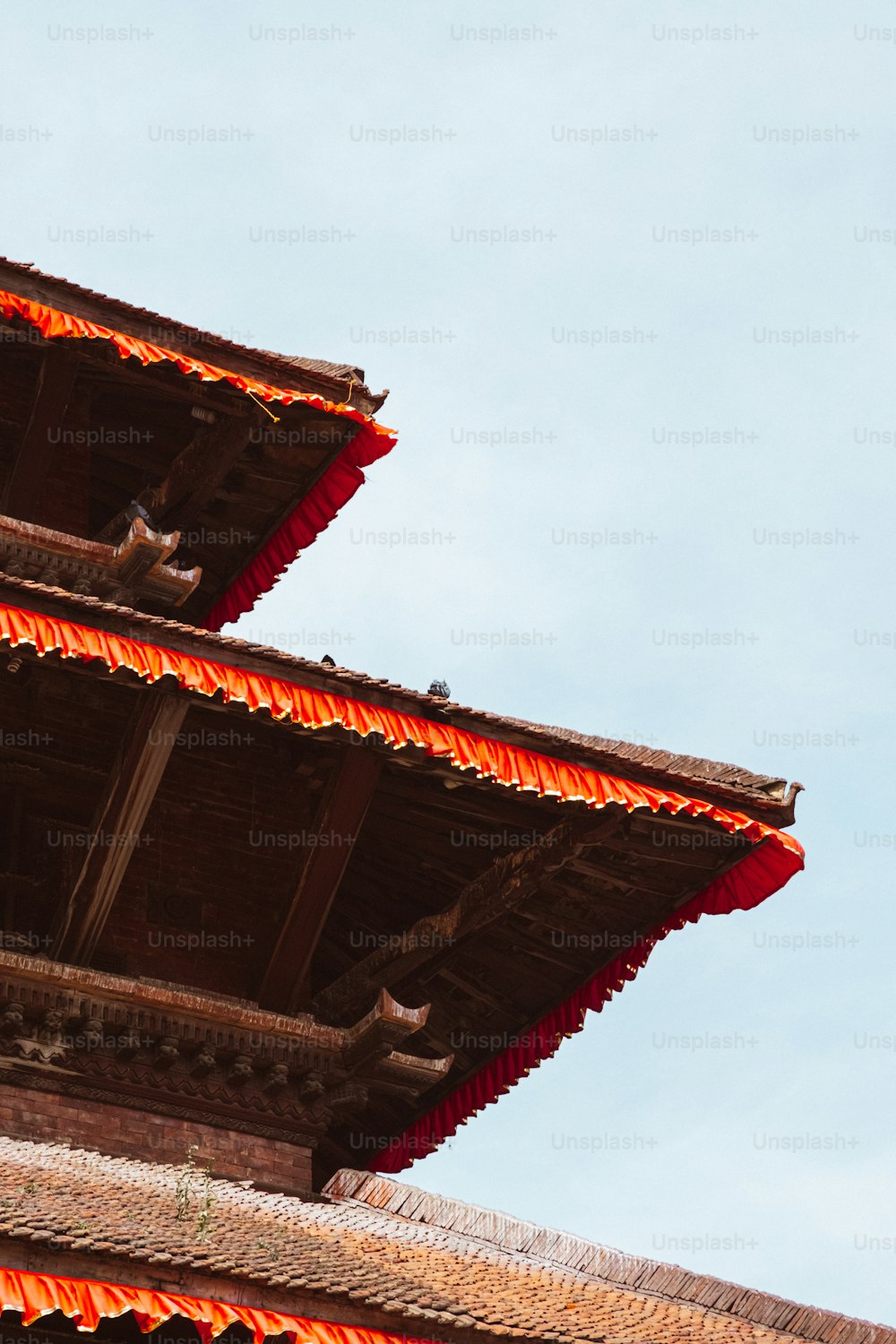 a bird is perched on the roof of a building