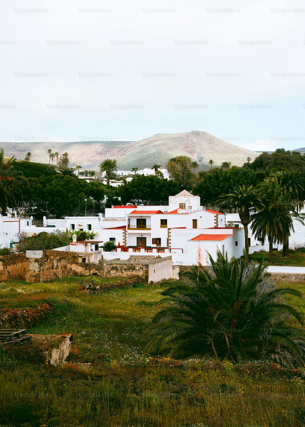 a white building with a red roof surrounded by palm trees