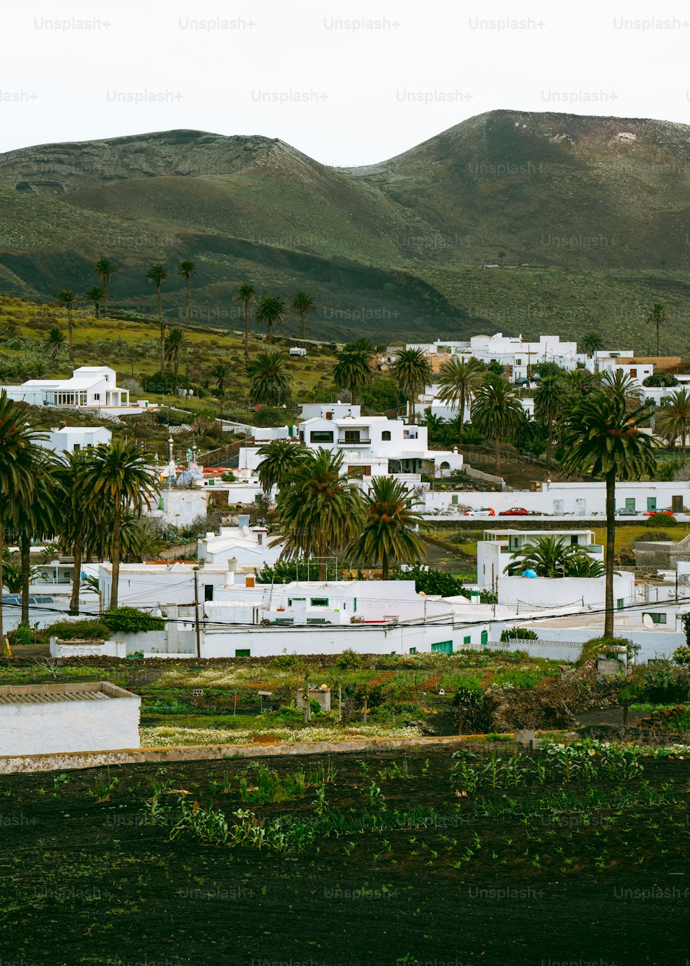 a view of a town with mountains in the background