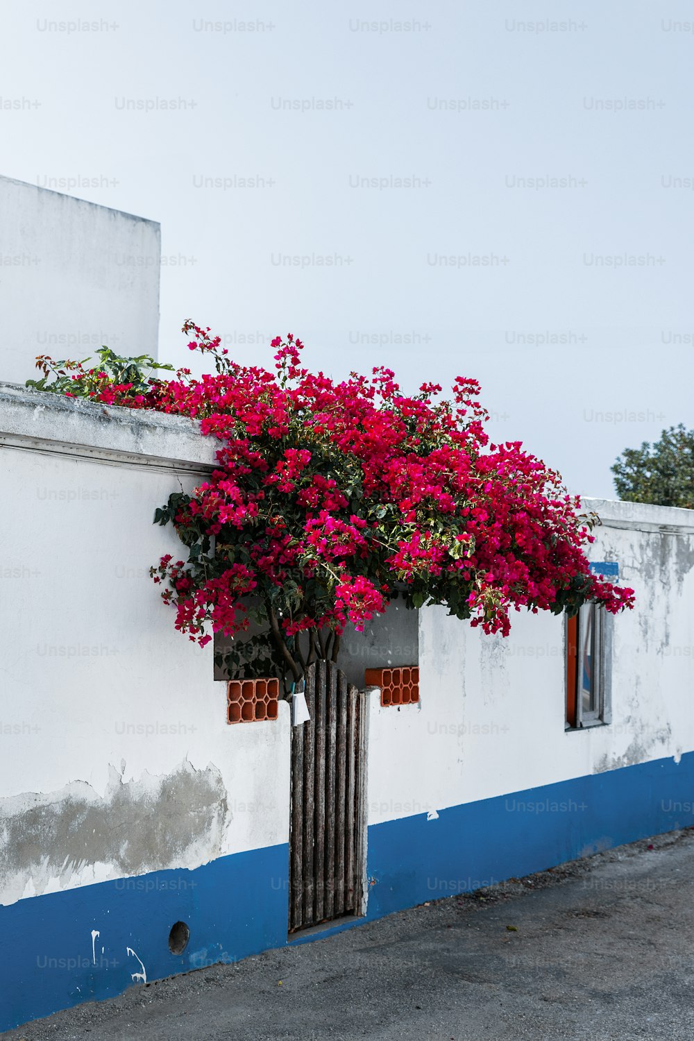 a white building with red flowers growing out of the windows