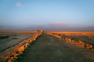砂漠の真ん中にある未舗装の道