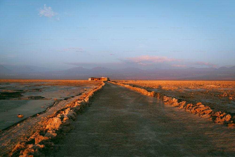 a dirt road in the middle of a desert