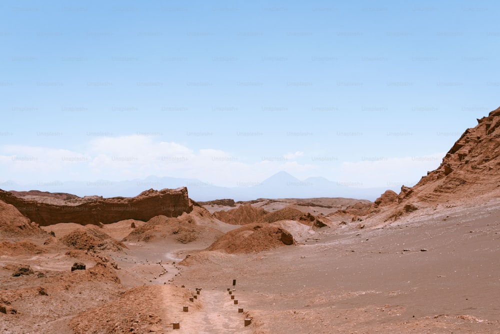 a dirt path in the middle of a desert