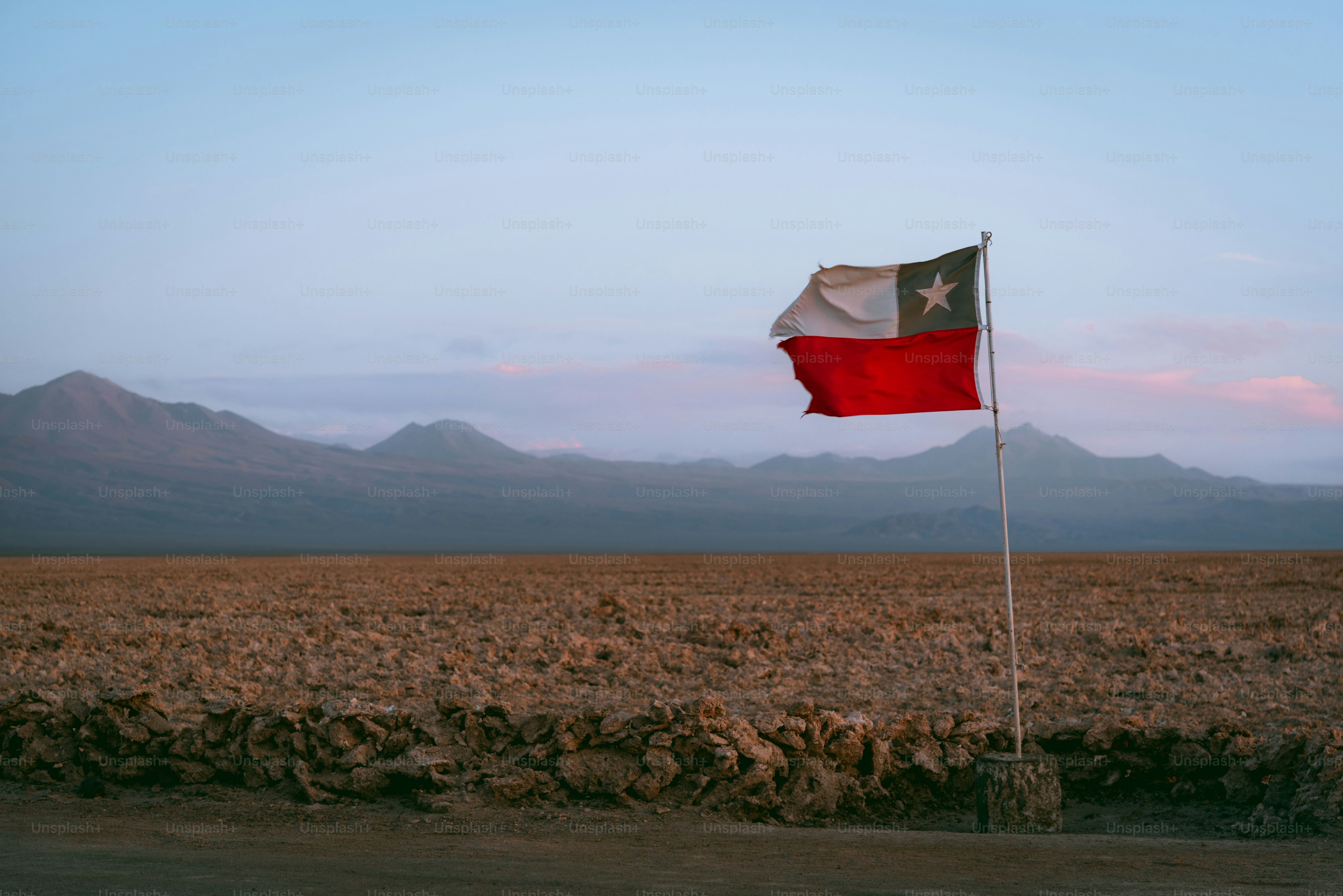 Una bandera solitaria de Texas en un campo estéril