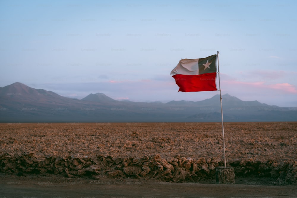a lone texas flag in a barren field