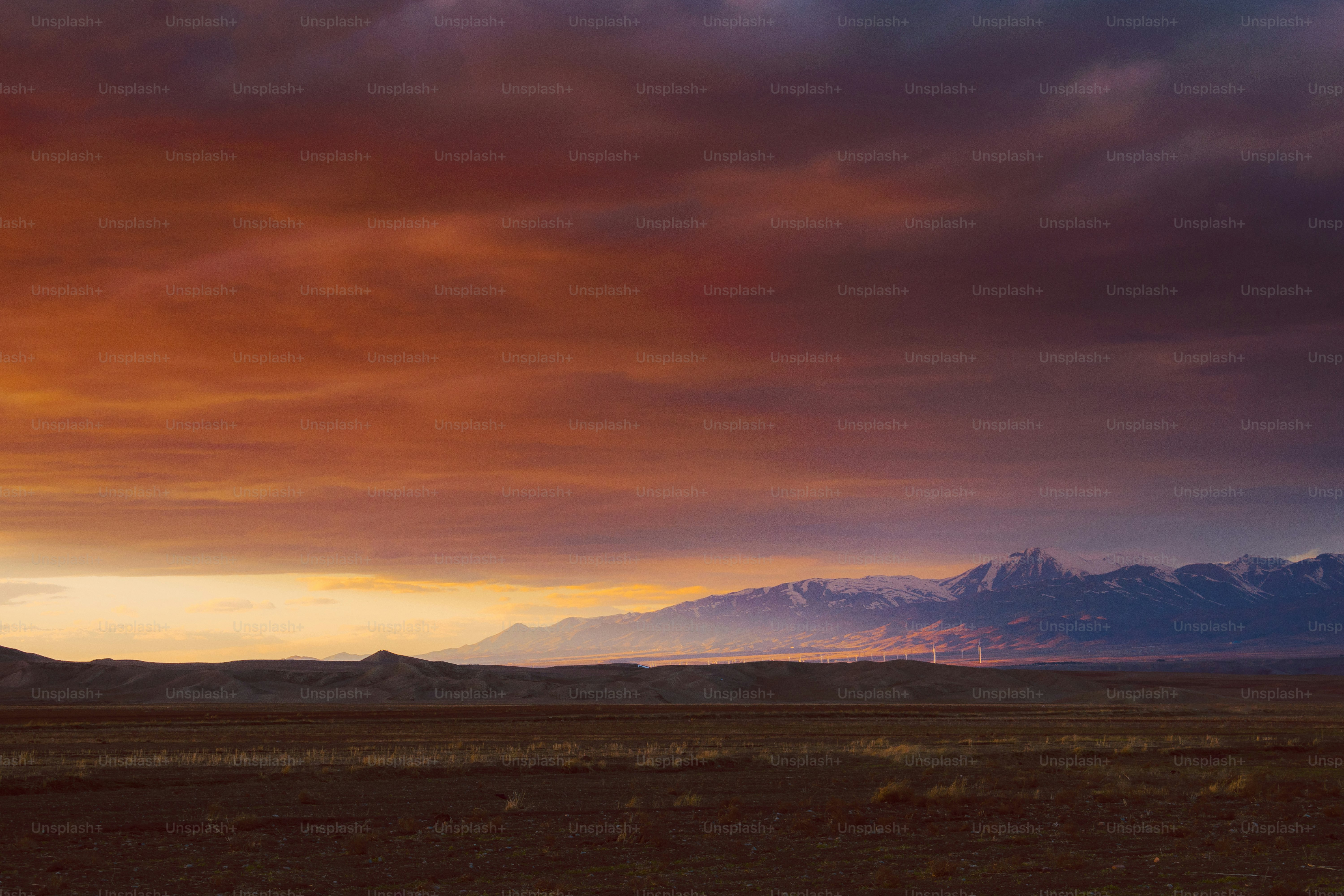 a horse standing in a field with mountains in the background
