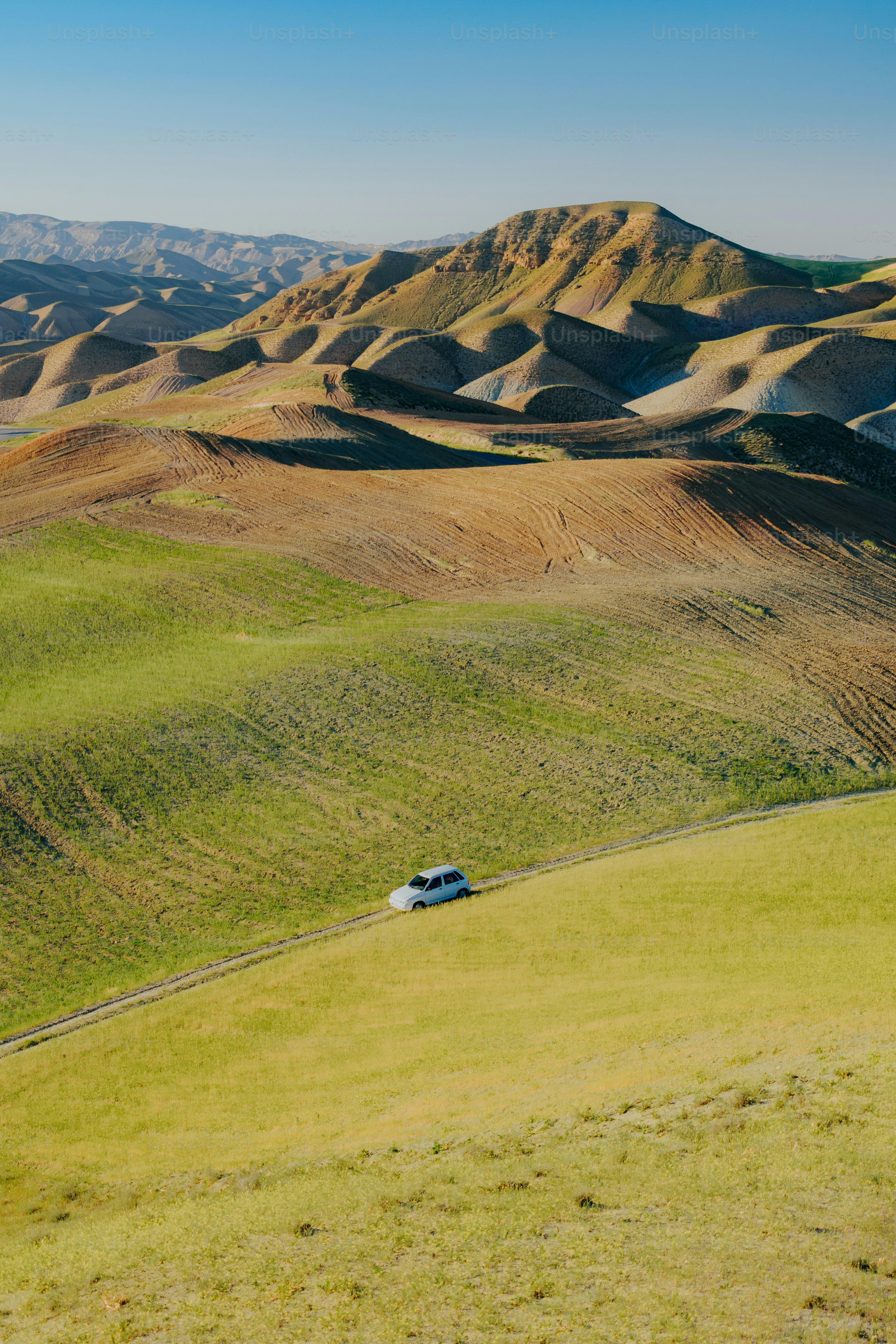 Une voiture est garée au milieu d’un champ