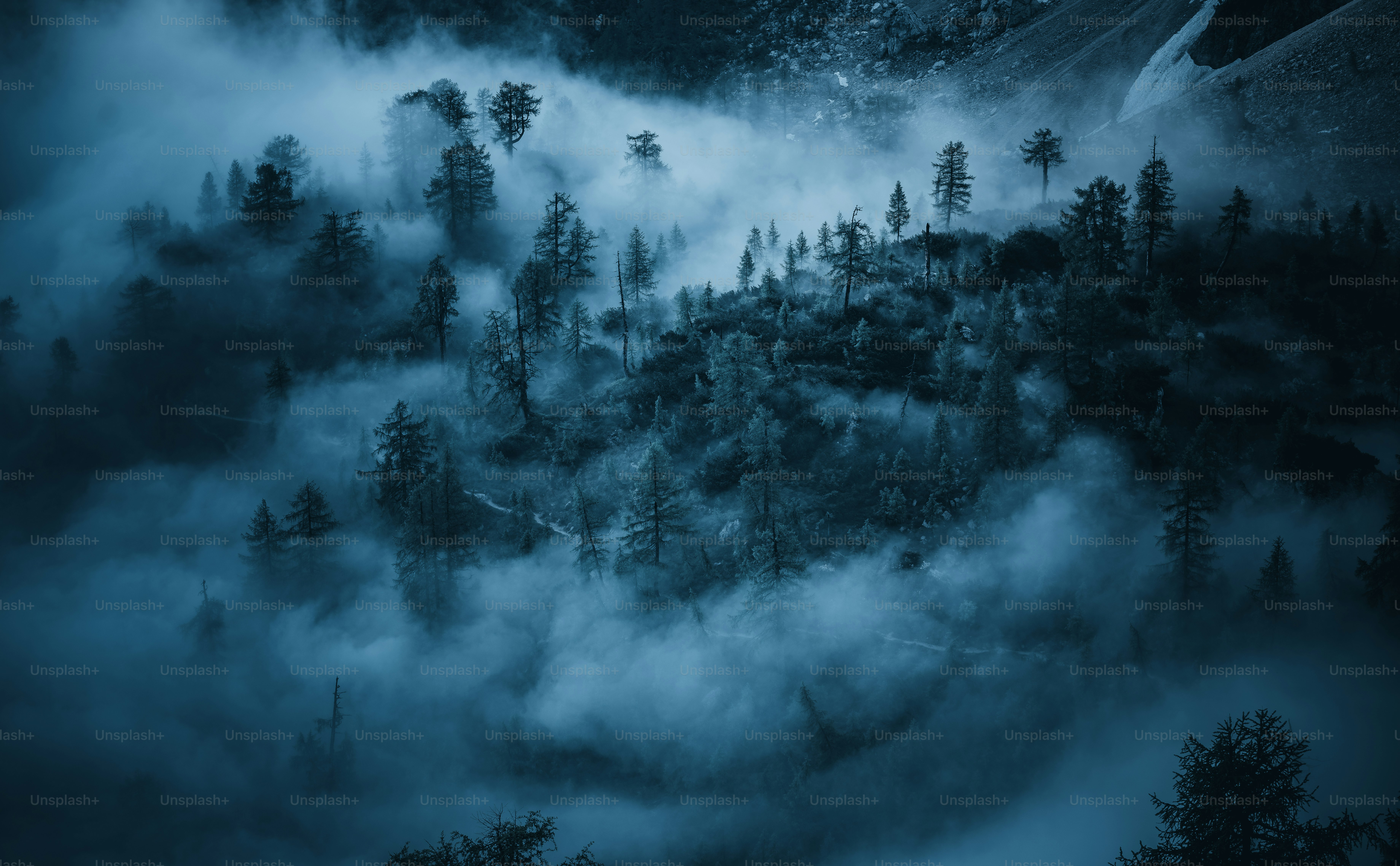 Una montaña cubierta de niebla con árboles en primer plano foto – Imagen de  Bosque en Unsplash, image size:3000x1855