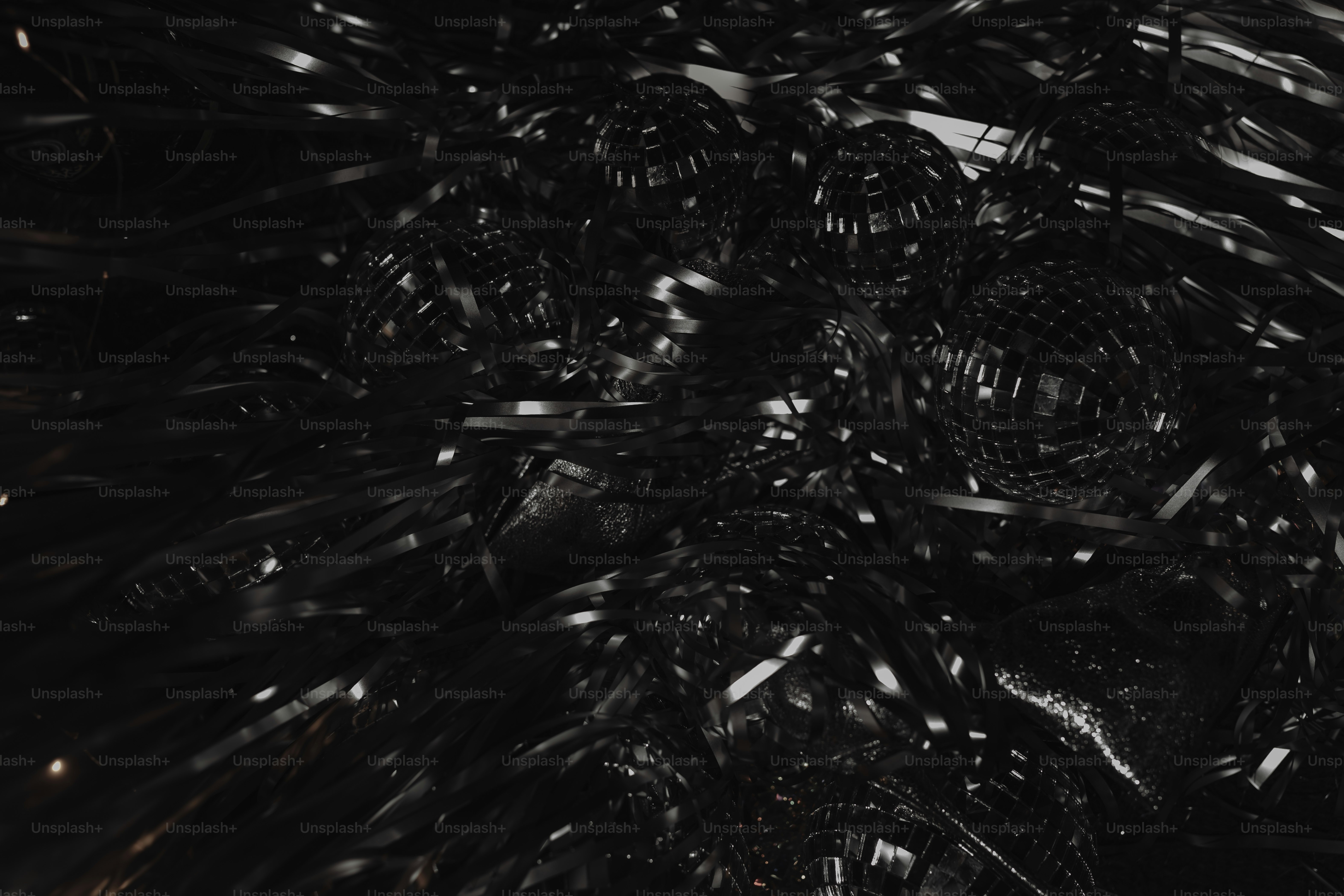 a black and white photo of a palm tree