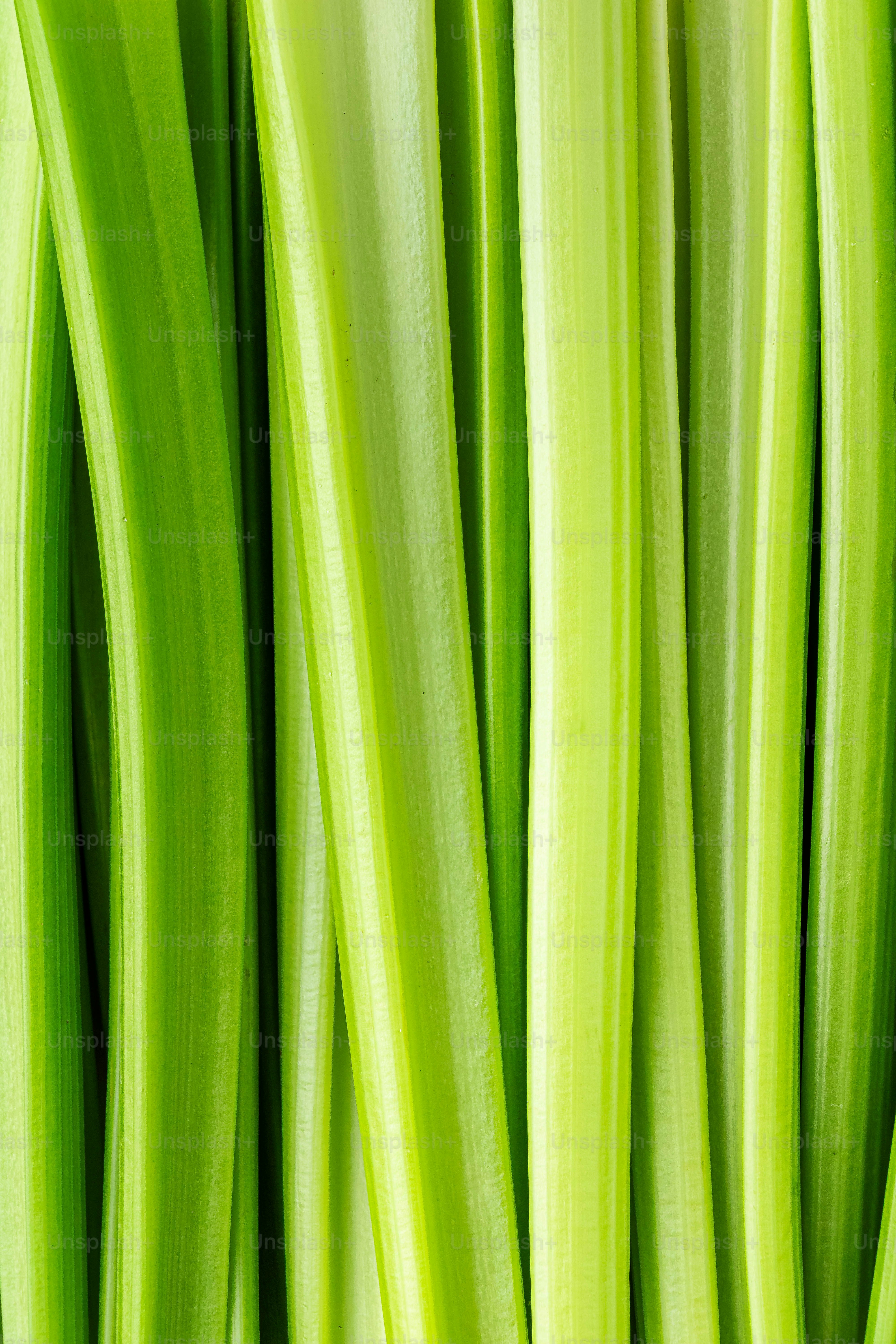 a close up of a bunch of green beans