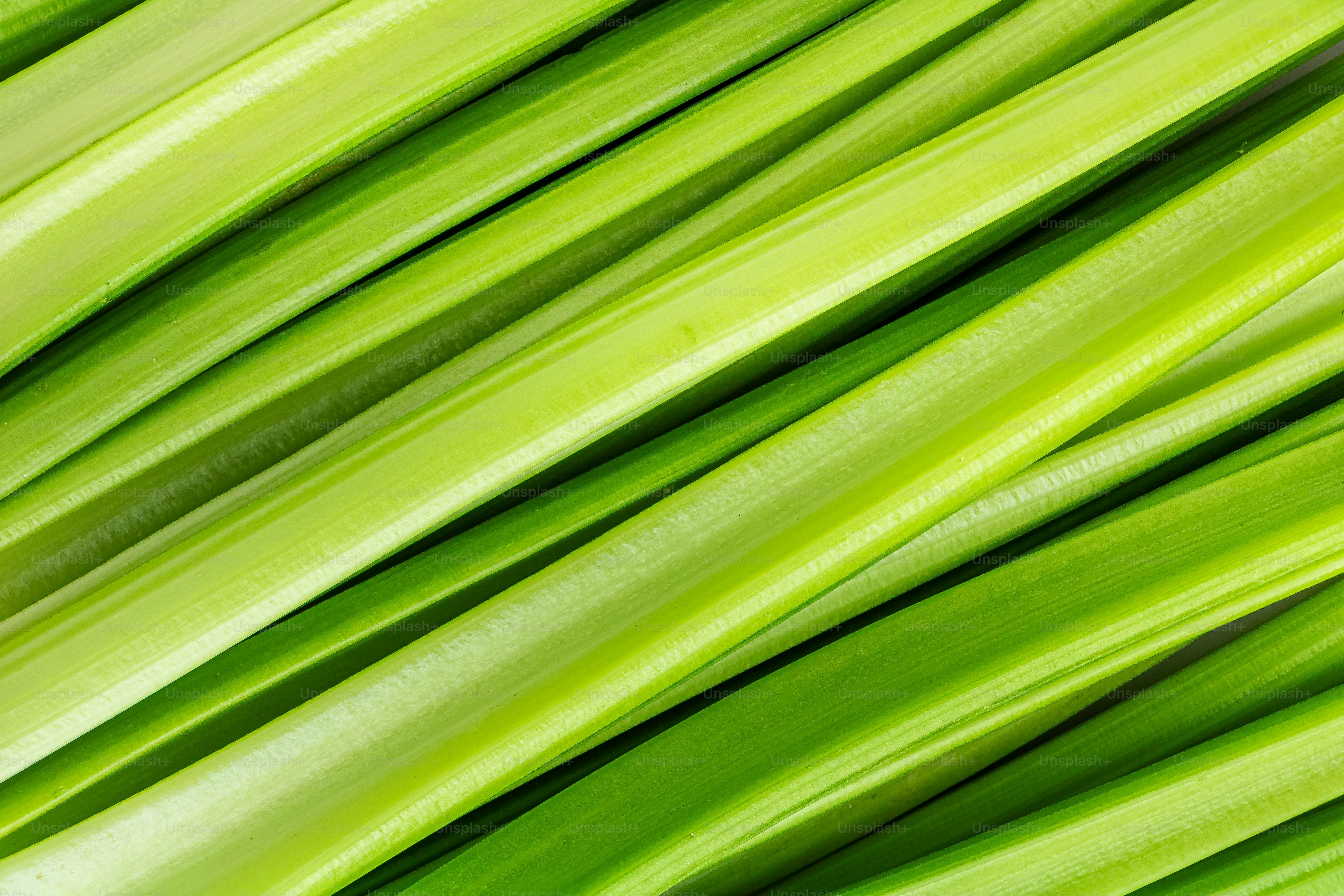 a close up of a bunch of green grass
