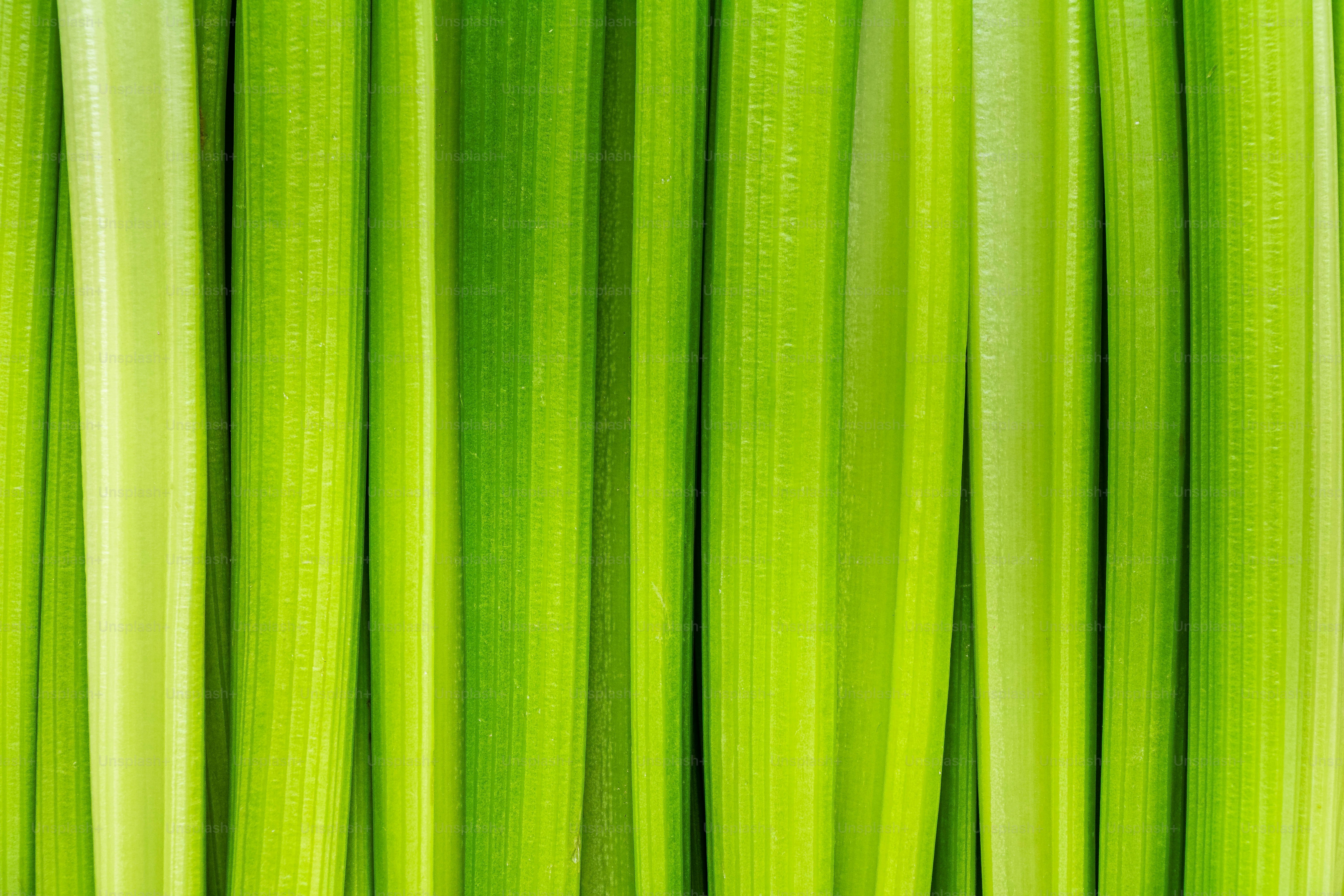 a close up of a bunch of green wires