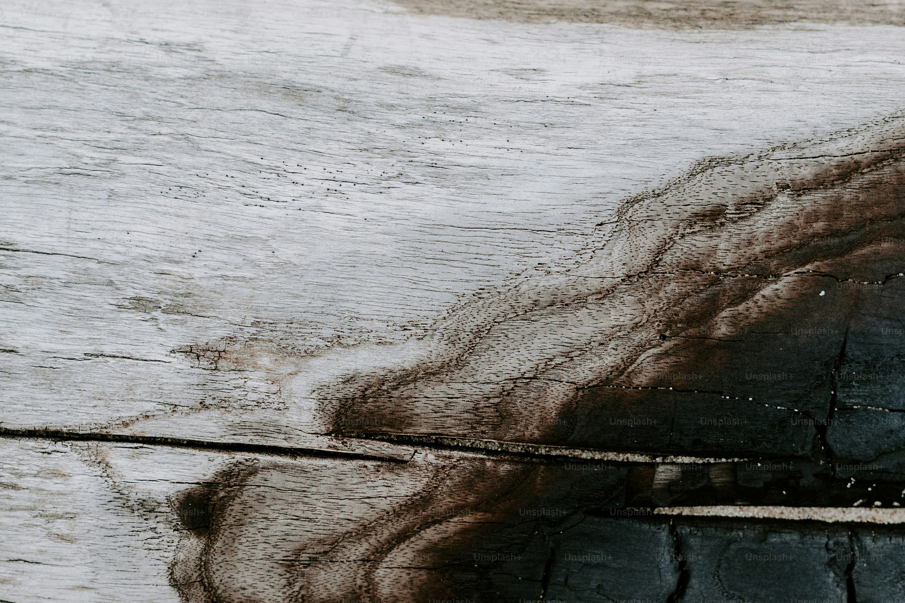 Una foto en blanco y negro de un pájaro en un alambre