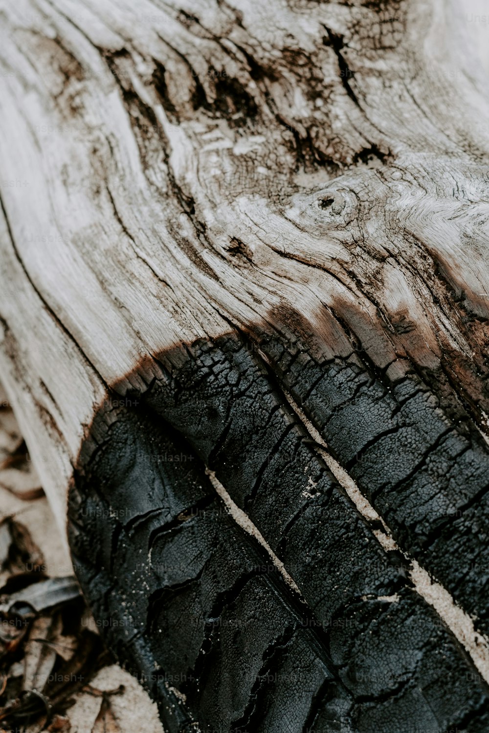 um close up de um pneu em um pedaço de madeira