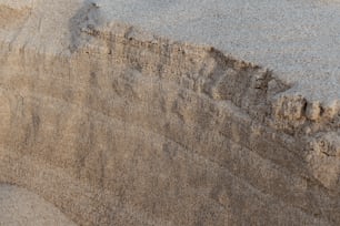 a bird is standing on the sand of a beach