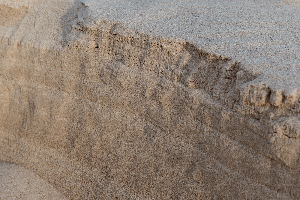 a bird is standing on the sand of a beach