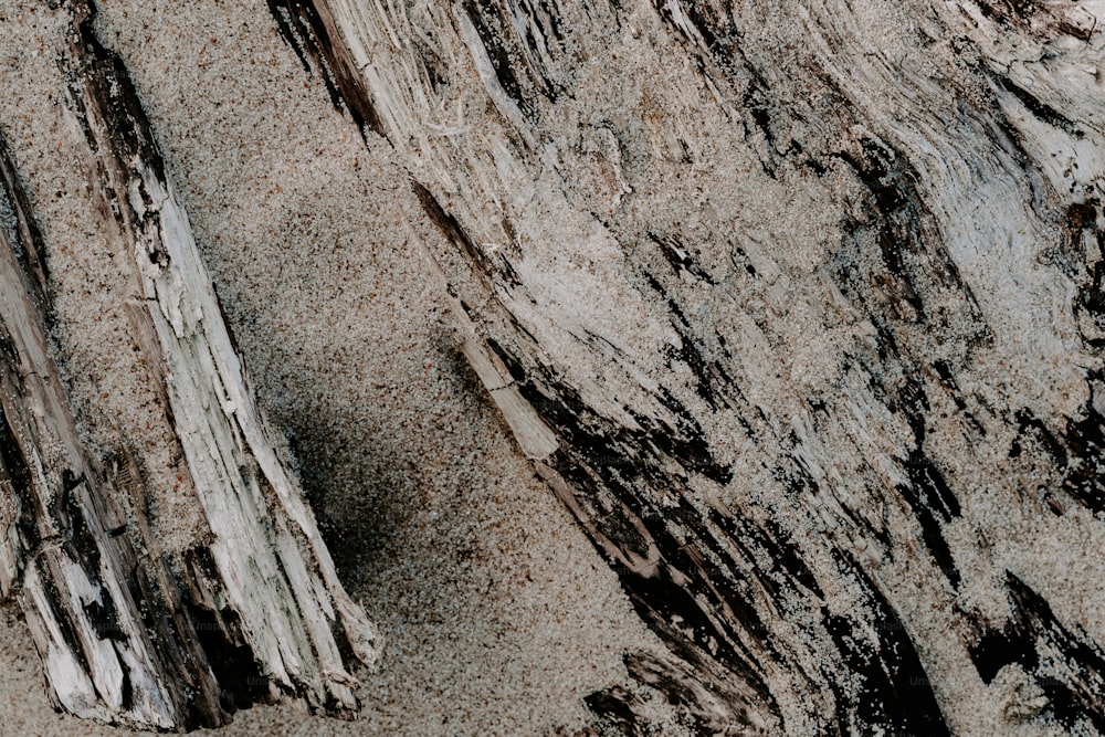 a close up of a piece of wood on a beach