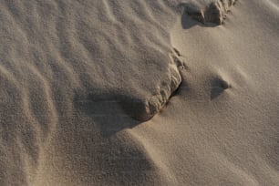 un rocher dans le sable sur une plage
