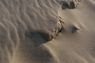 a rock in the sand on a beach