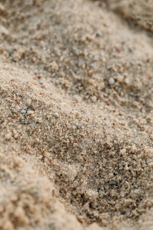 砂に覆われた地面のクローズアップ