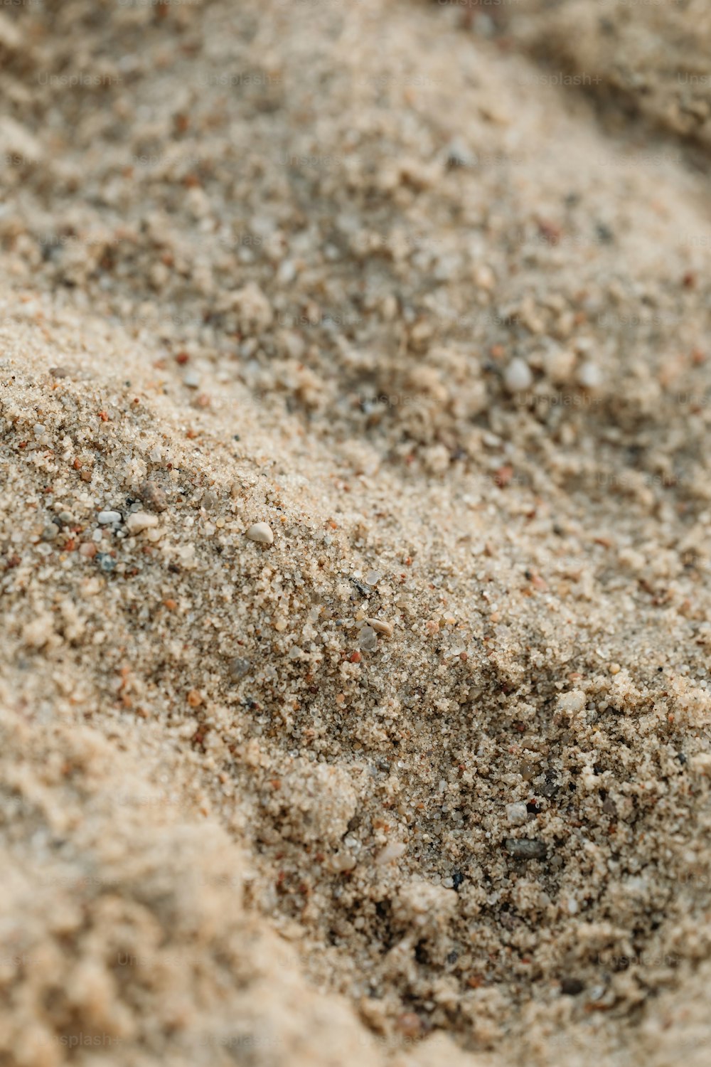a close up of a sand covered ground