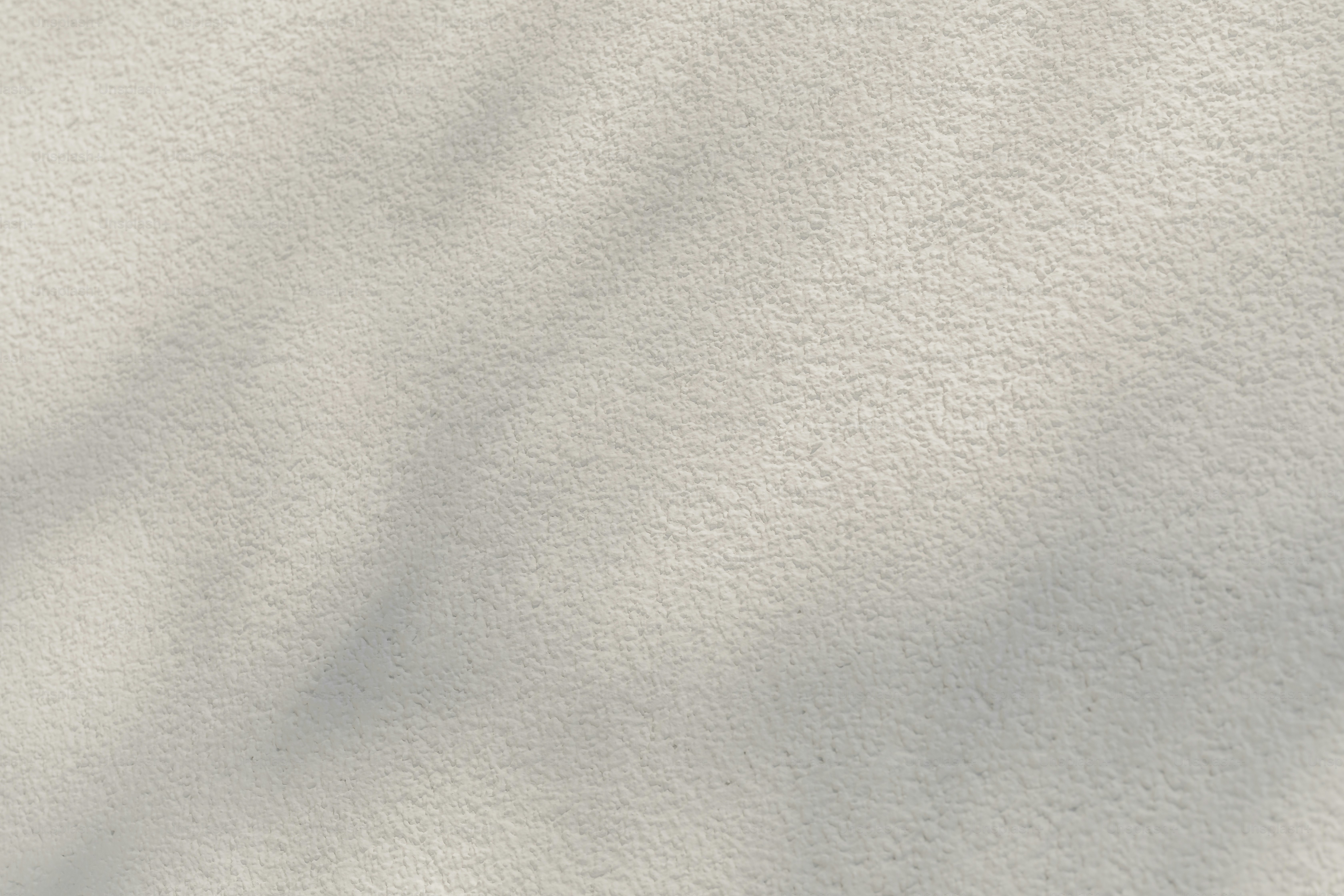 the shadow of a tree on a white wall