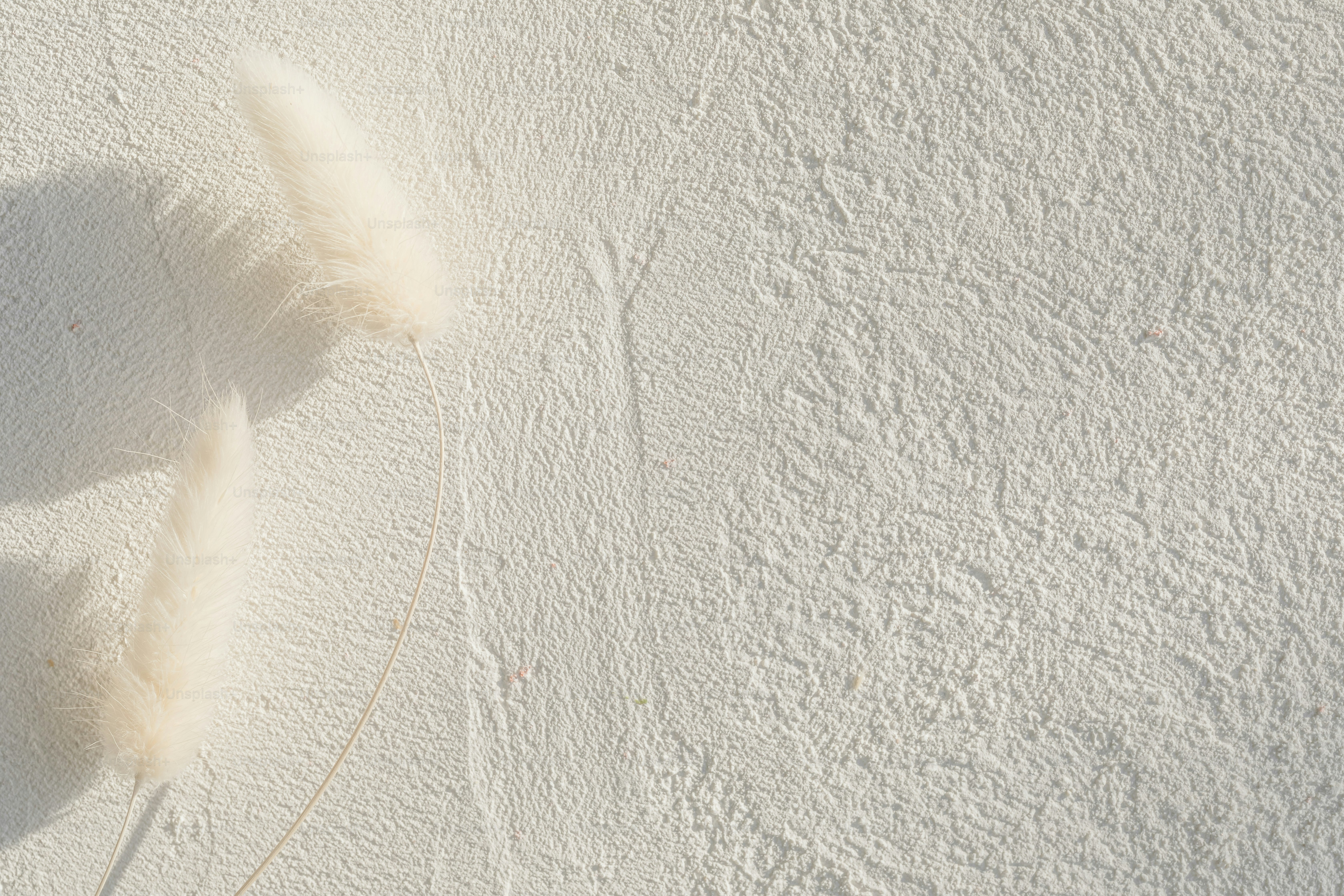 a feather is laying on a white surface