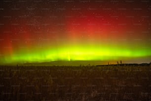 a bright green and red aurora over a field