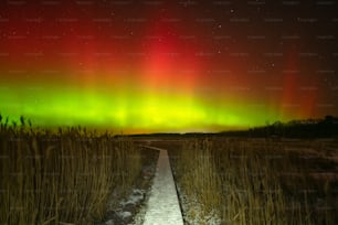 um caminho no meio de um campo com uma aurora verde e vermelha brilhante acima