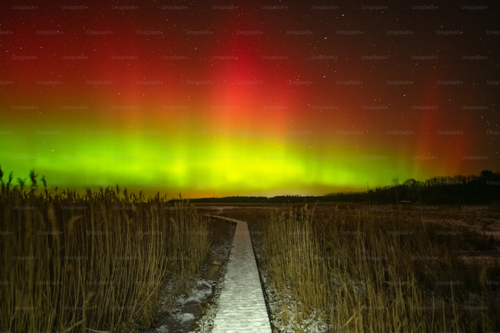 a path in the middle of a field with a bright green and red aurora above