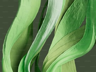 녹색과 흰색 식물의 클로즈업