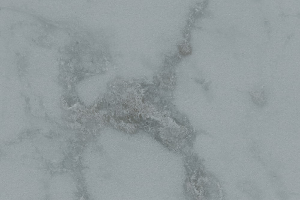a white marble surface with a bird in the middle of it