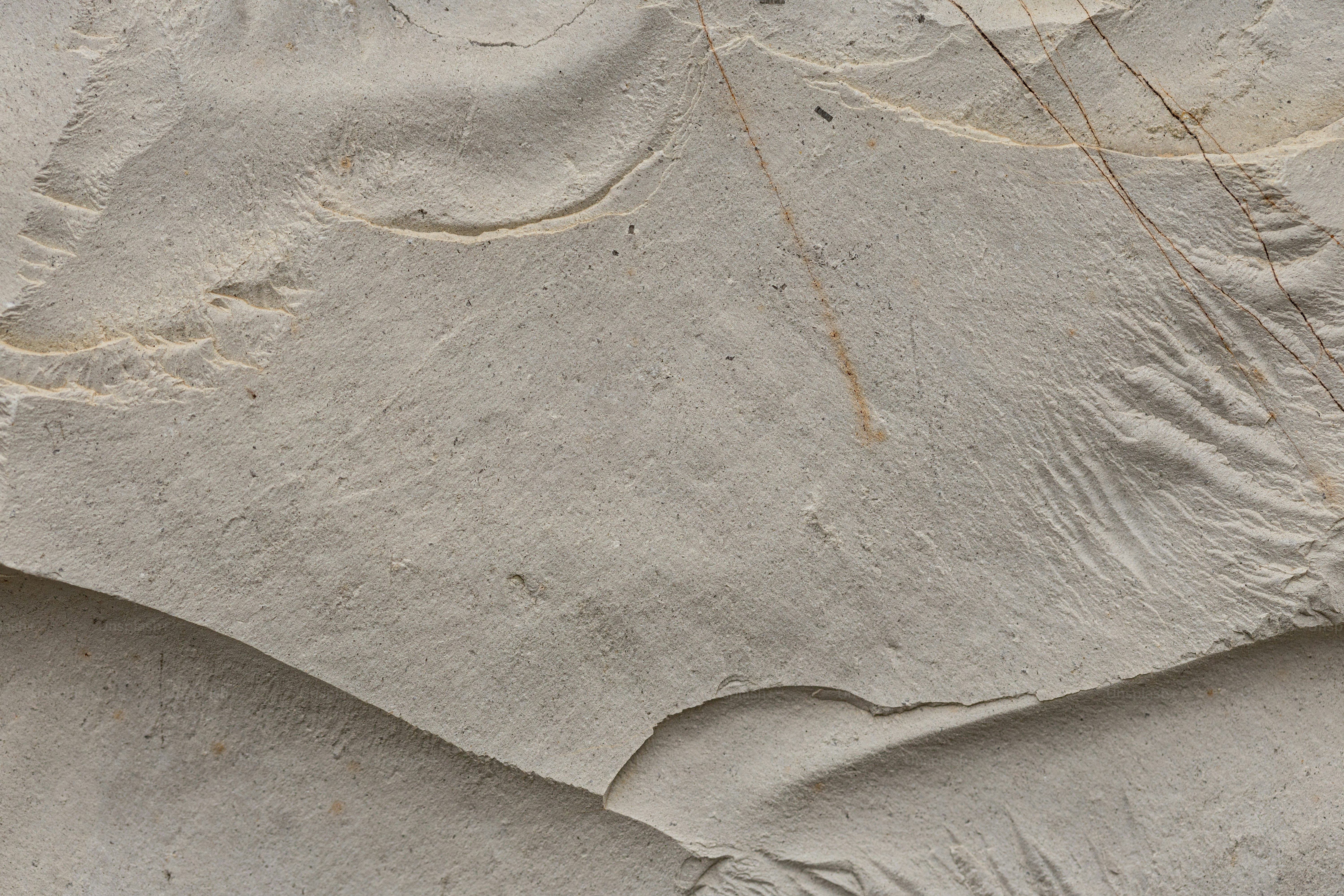 a bird standing on top of a sandy beach
