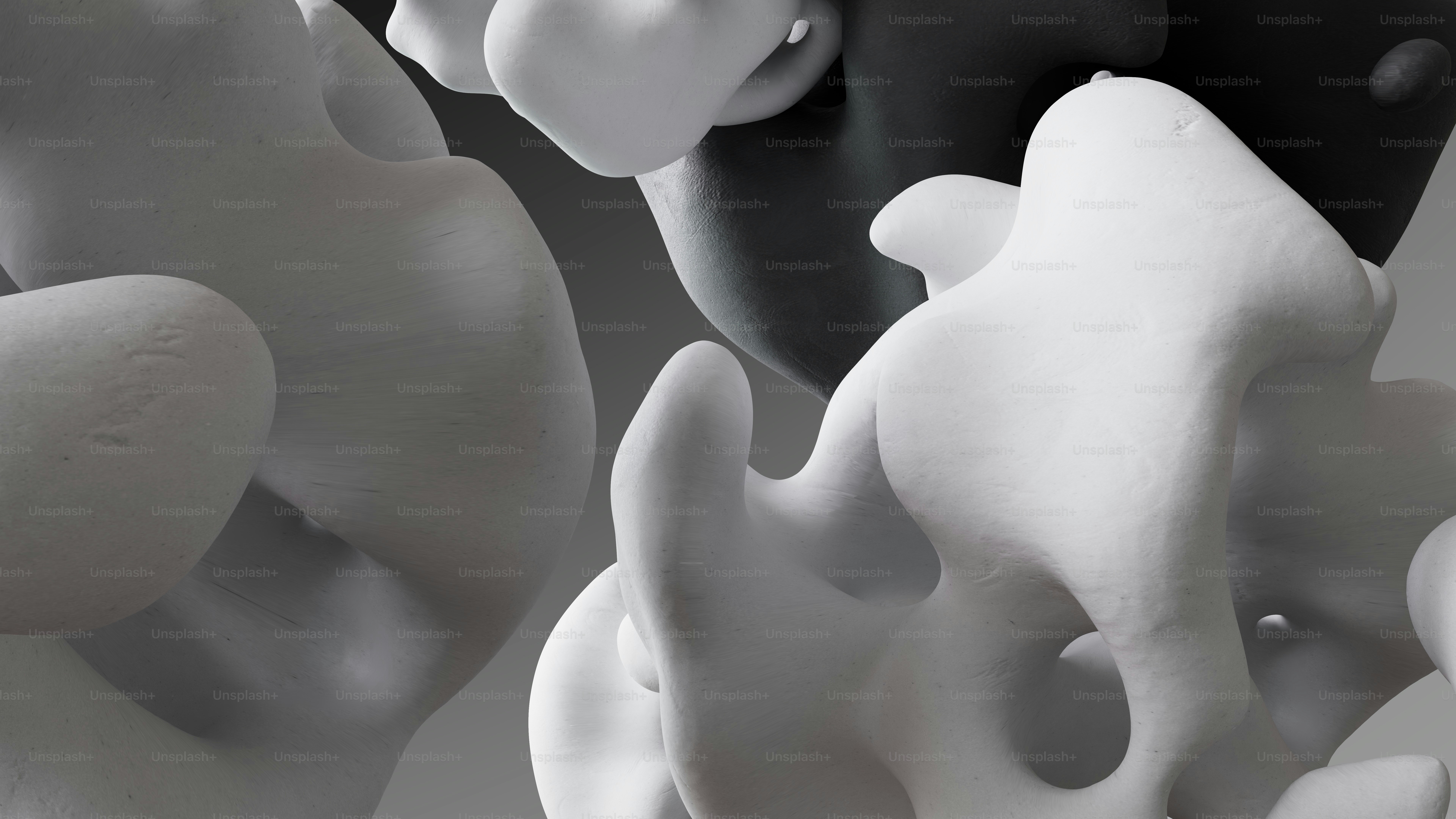 a black and white photo of a bunch of mushrooms