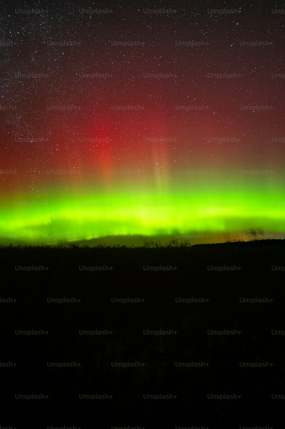 a bright green and red aurora over a field
