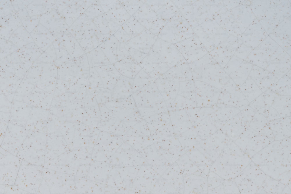 a white and gold speckled wallpaper with a white background