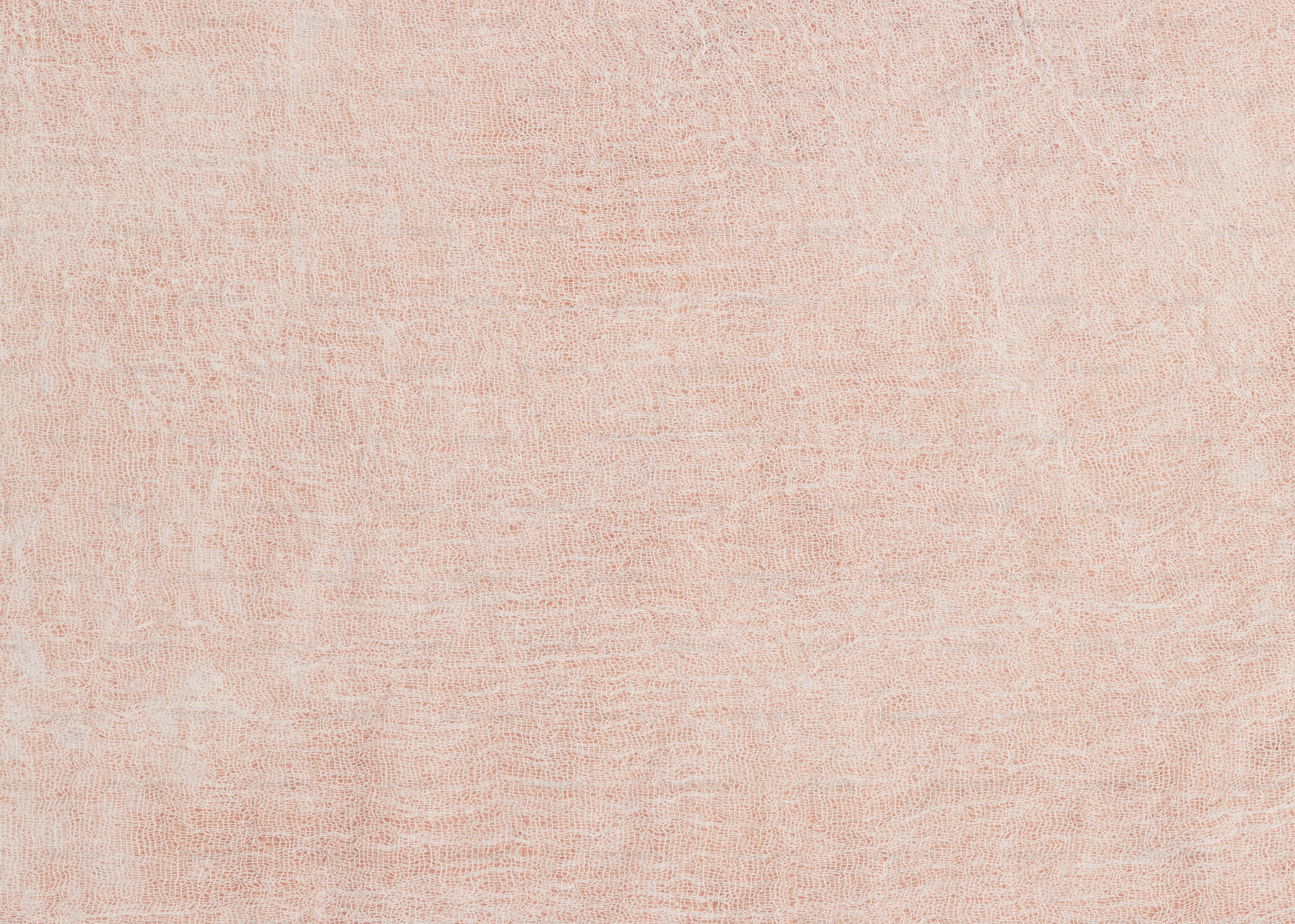 a cat laying on top of a rug on a floor