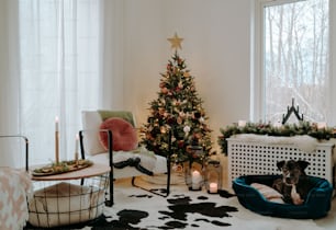 Un perro sentado en una cama para perros junto a un árbol de Navidad
