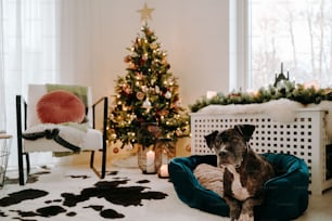 un chien assis sur un lit pour chien devant un arbre de Noël