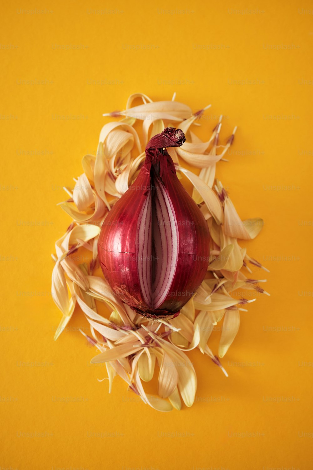 a red onion on a yellow background