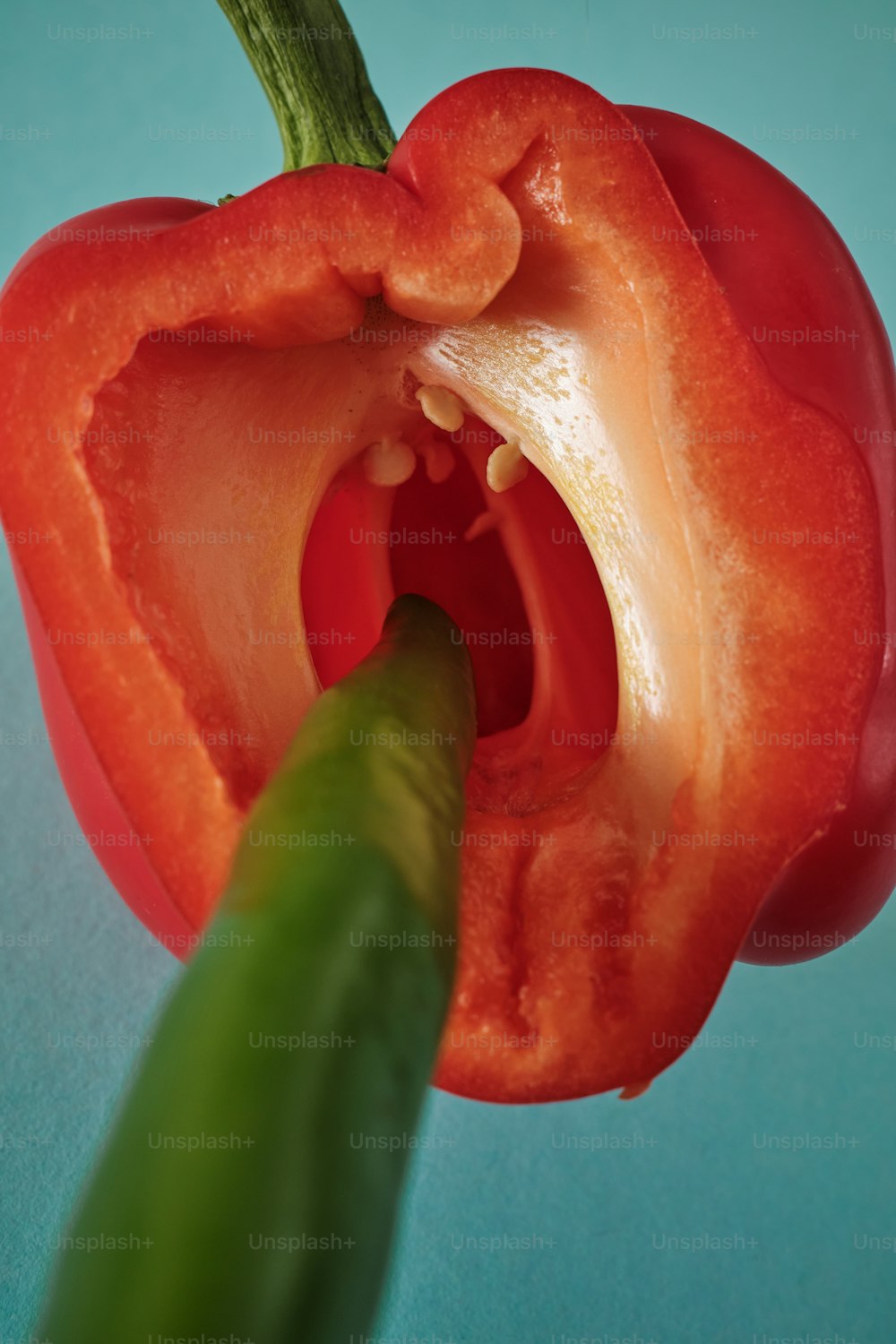 eine rote Paprika, aus der ein grüner Stiel herausragt