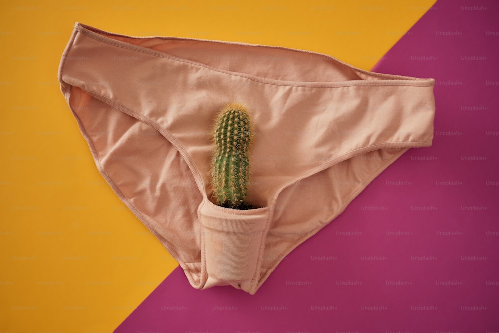 un cactus en bikini sobre un fondo rosa y amarillo